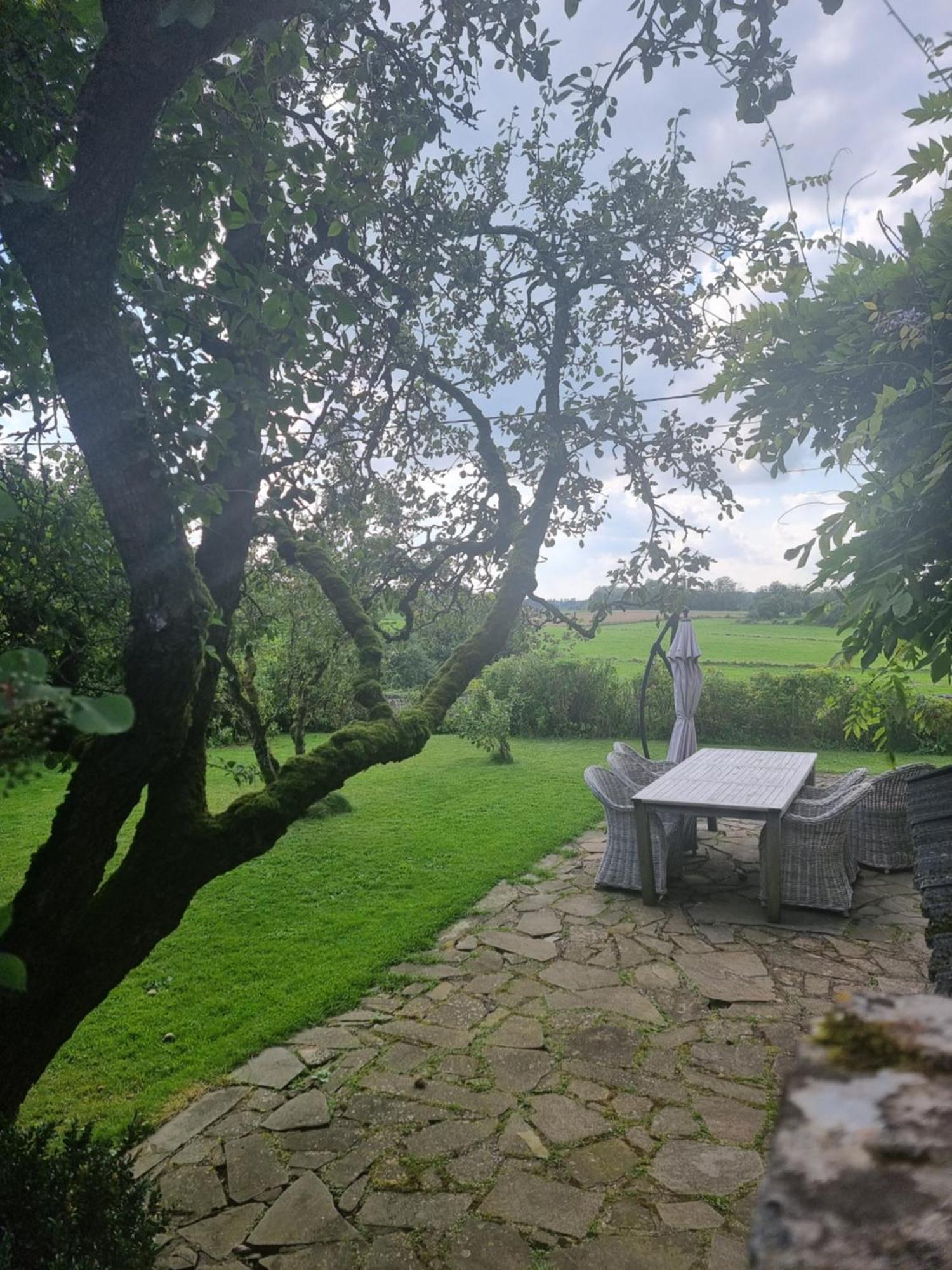 Groot Authentiek En Charmante Woning, 250 Vierkante Meter, Panoramisch Vergezicht, Zonsondergang, Dicht Bij Dinant, Maredsous En Namen Oret Exterior photo