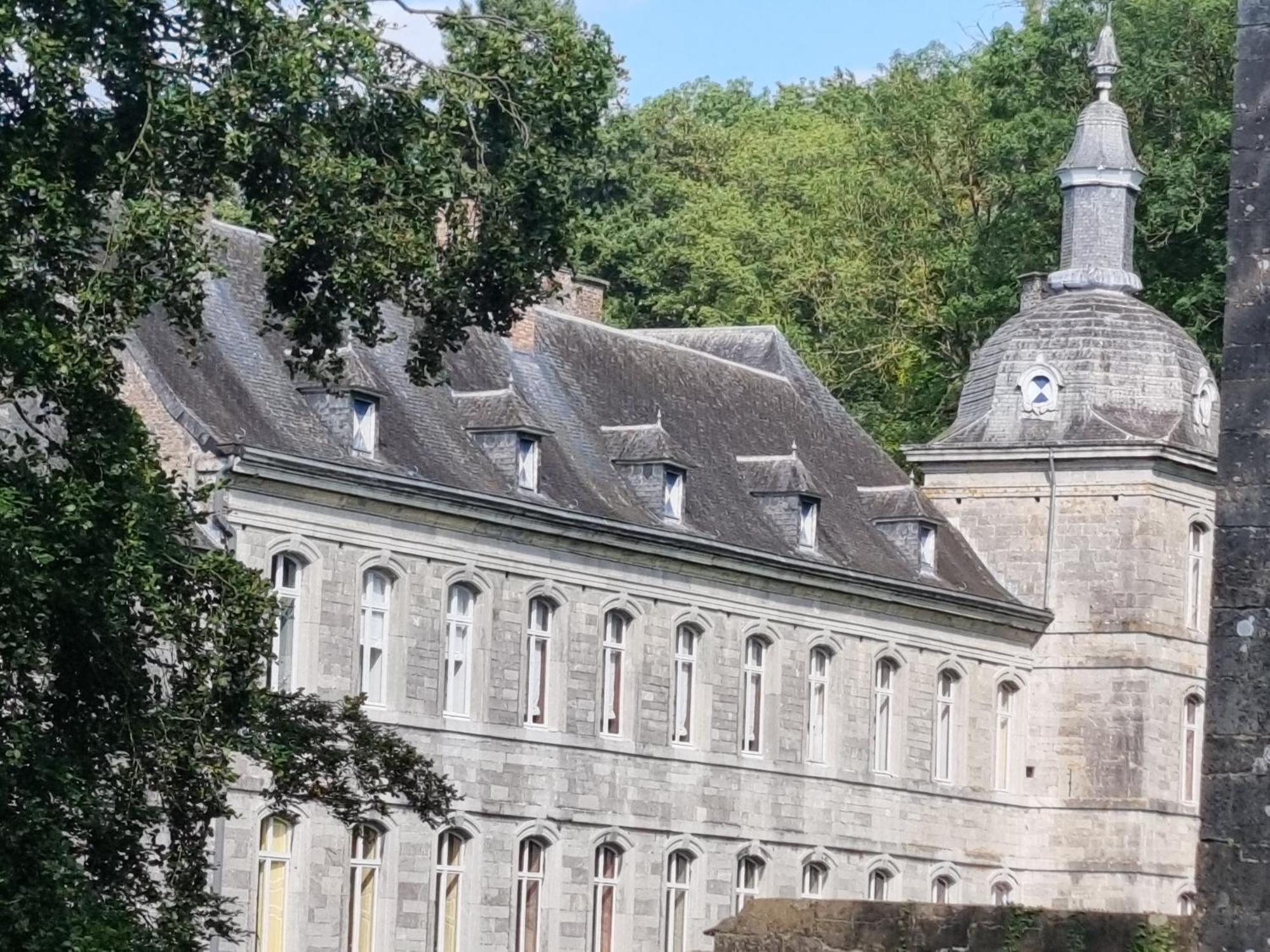 Groot Authentiek En Charmante Woning, 250 Vierkante Meter, Panoramisch Vergezicht, Zonsondergang, Dicht Bij Dinant, Maredsous En Namen Oret Exterior photo
