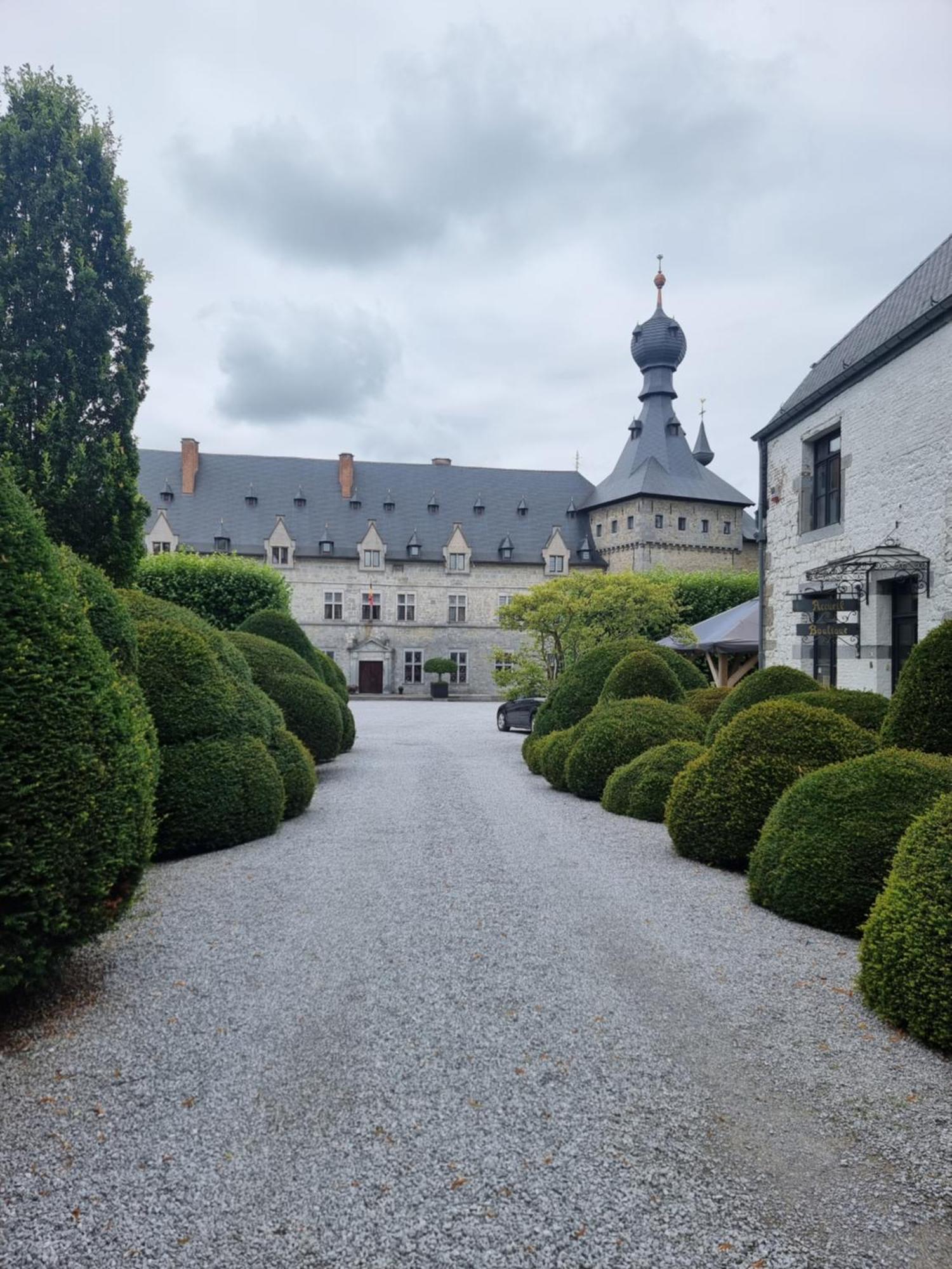 Groot Authentiek En Charmante Woning, 250 Vierkante Meter, Panoramisch Vergezicht, Zonsondergang, Dicht Bij Dinant, Maredsous En Namen Oret Exterior photo